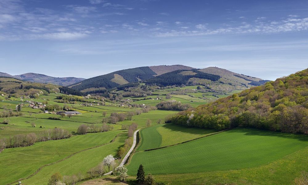 Paysage vallonné du Morvan avec le mont Beuvray boisé à l'horizon